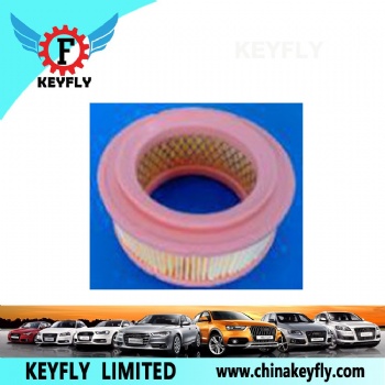 Auto Air Filter 95546429 5490363 for Peugeot
