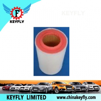 Auto Air Filter for Peugeot