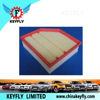 Auto Air Filter 30636833 for Volvo