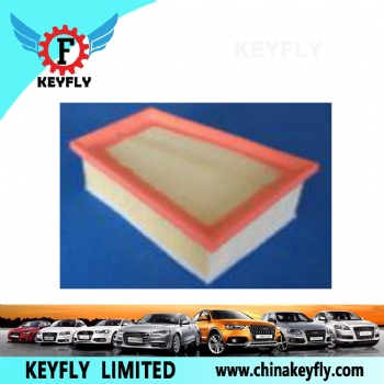 Auto Air Filter 7701045724 16546-00QAA for Renault