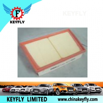 Auto Air Filter LR071942 GJ32-9601-AA for Renault