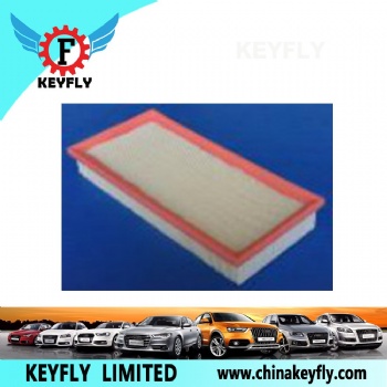 Auto Air Filter 4876074 for Fiat