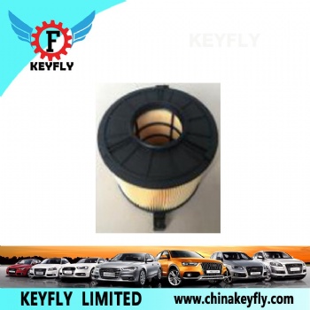 Auto Air Filter 8W0 133 843E 8W0 133 843B for VW