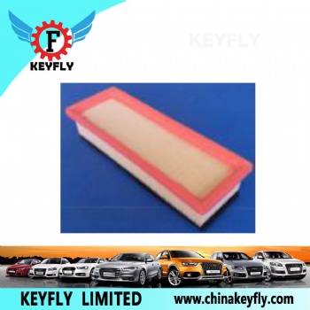 Auto Air Filter 55192012 for Fiat