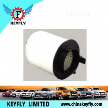 Auto Air Filter 420 133 843B for VW