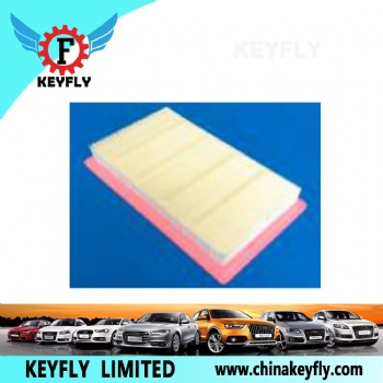Auto Air Filter CN4C159601BA for Ford