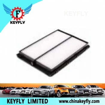 Auto Air Filter 28113-A9200 for Hyundai/Kia