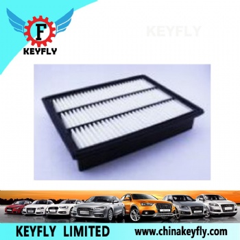 Auto Air Filter 10067663