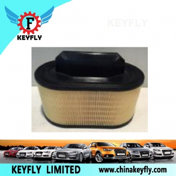 Auto Air Filter 670001545 for Fiat