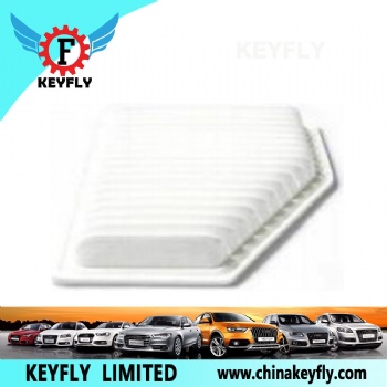 Auto Air Filter A13-1109111FA