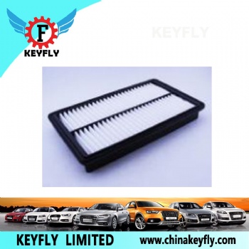 Auto Air Filter T21-1109111