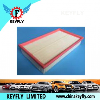Auto Air Filter 1165524S01