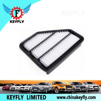 Auto Air Filter 1109013-M01