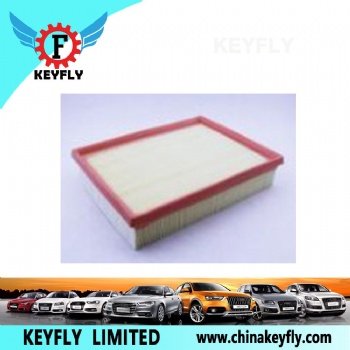 Auto Air Filter 1109013-B011