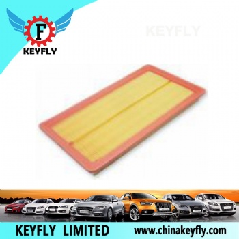 Auto Air Filter EGJ-1109411