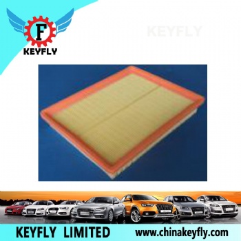 Auto Air Filter A00107564