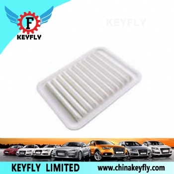 Auto Air Filter P1109160