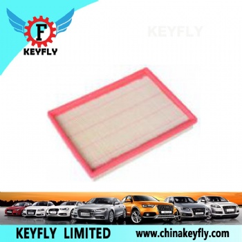 Auto Air Filter C20-1109013