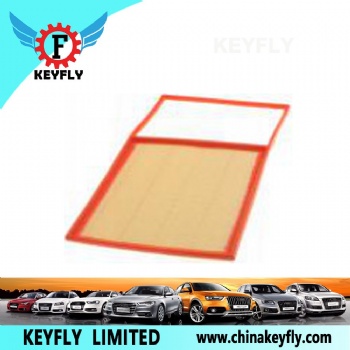 Auto Air Filter