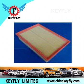 Auto Air Filter 8200795348 4420258 for Renault