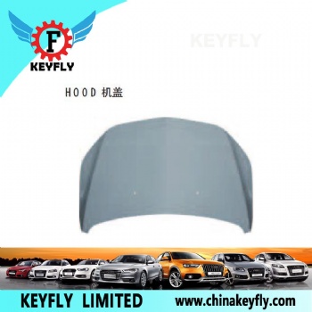 Hood for Chevrolet Sail '10