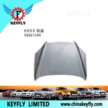 Hood for Chevrolet Epica / Captiva '07 OEM 96861599