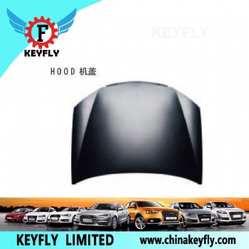 Hood for Kia Cerato 2007