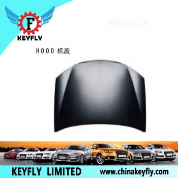 Hood for Kia Cerato 2005