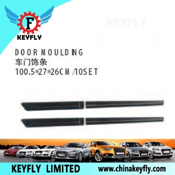 Door Moulding for Kia Rio 2005