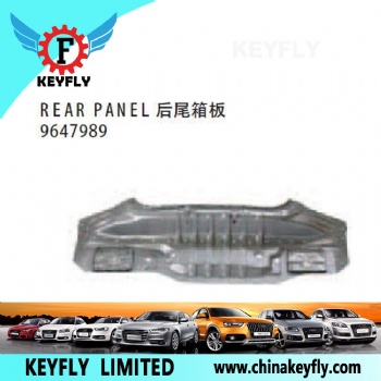 Rear Panel for Chevrolet/Daewoo Aveo 2007 OEM 9647989