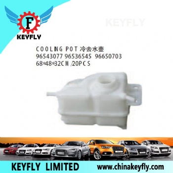 Cooling Pot for Chevrolet/Daewoo Aveo 2007 OEM 96543077