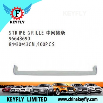 Stripe Grille for Chevrolet/Daewoo Aveo 2007 OEM 96648690