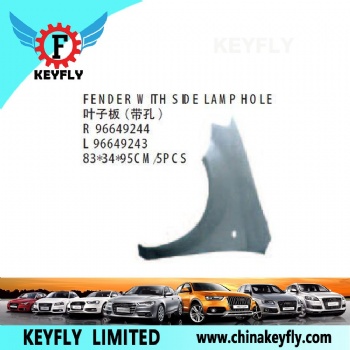 Fender With Side Lamp Hole for Chevrolet/Daewoo Aveo 2007 OEM 96649244