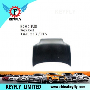 Hood for Chevrolet/Daewoo Aveo 2005 OEM 96297541