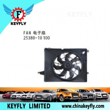 Fan for Hyundai Santa Fe 2013 / Eon OEM 25380-1U100