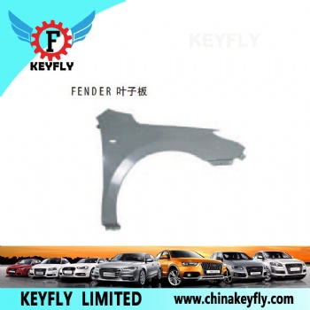 Fender for Hyundai i30 / Sonata 2008
