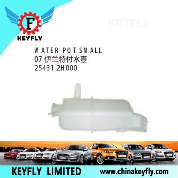Water Pot Small 07 for Hyundai Elantra 2007 OEM 25431-2H000