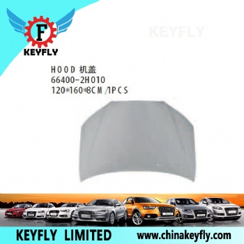 Hood for Hyundai Elantra 2007 OEM 66400-2H010