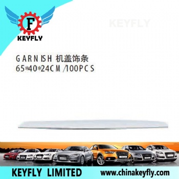 Garnish for Hyundai Elantra 2007