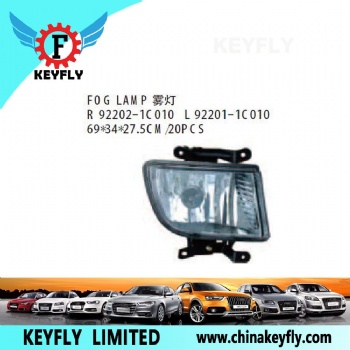 Fog Lamp for Hyundai Atos 2004 / Santro / Getz 2002 OEM 92202-1C010