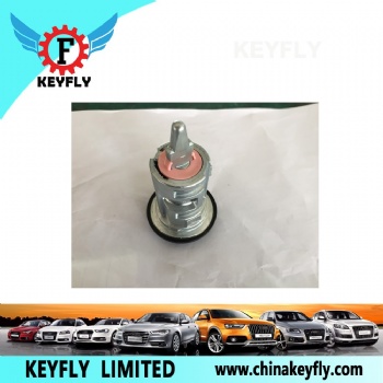 Door Lock Cylinder for Transit (Pink)