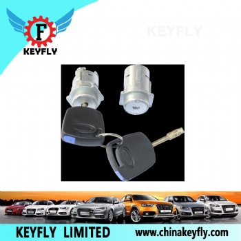 Door Lock Cylinder for Figo