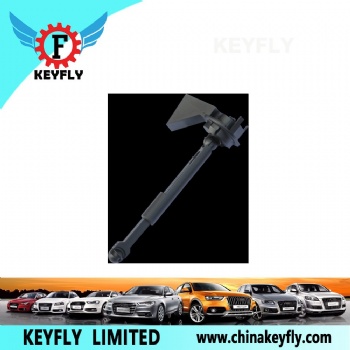 Door Lock Cylinder for Focus OEM 1355231